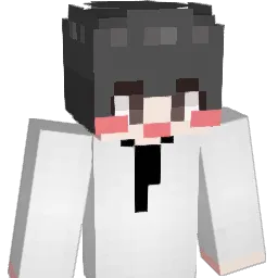 roa713 Minecraft avatar bust