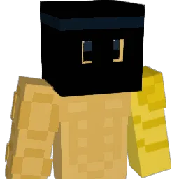 rob2013in Minecraft avatar bust