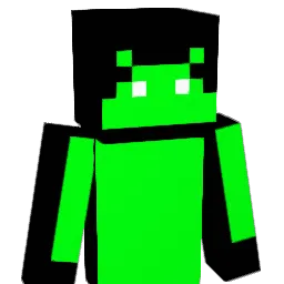 robair88 Minecraft avatar bust