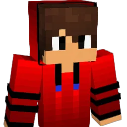 robatfish's Minecraft skin