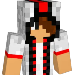 robdestroyer10 Minecraft avatar bust