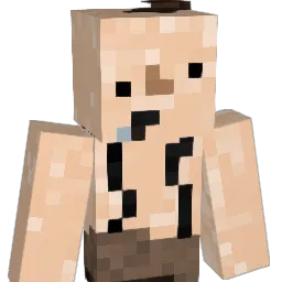 robert555 Minecraft avatar bust