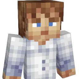 robert6722 Minecraft avatar bust
