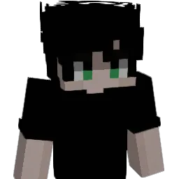 robfr_ Minecraft avatar bust