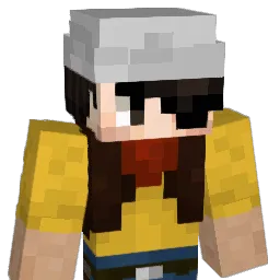 robi8451 Minecraft avatar bust