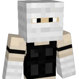 robidroid's Minecraft skin
