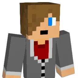 robin15564's Minecraft skin