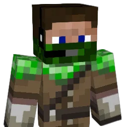 robin455's Minecraft skin