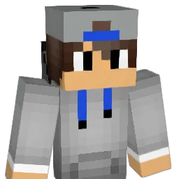 robin_dc's Minecraft skin