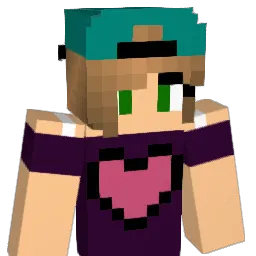 robindenstore's Minecraft skin