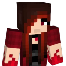 robinstorm's Minecraft skin