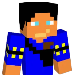 robinswid's Minecraft skin