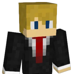 robridges1 Minecraft avatar bust