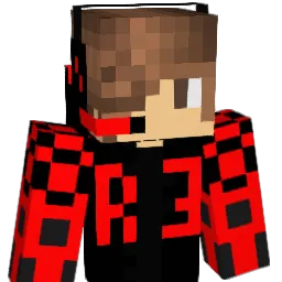 robro313 Minecraft avatar bust