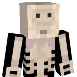 roccoga123456 Minecraft avatar bust