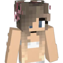 rocketman971 Minecraft avatar bust