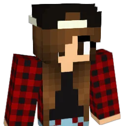 rockman057 Minecraft avatar bust