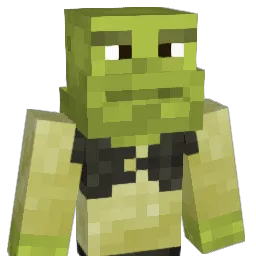 rodepop27 Minecraft avatar bust