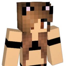 rogersmaracas Minecraft avatar bust