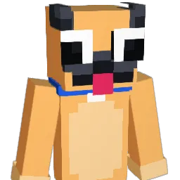 roguer6