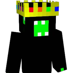 rokie295 Minecraft avatar bust