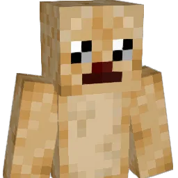 rokoslas's Minecraft skin