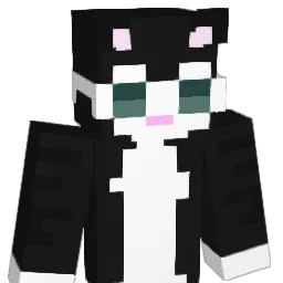rolexcartier Minecraft avatar bust