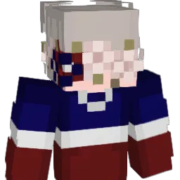 roll201 Minecraft avatar bust