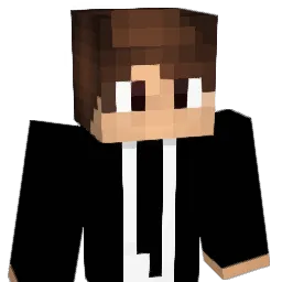 romain22350 Minecraft avatar bust