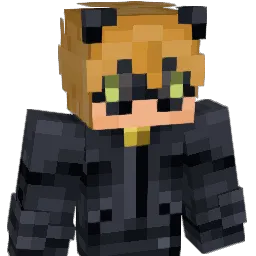 romanian_thief