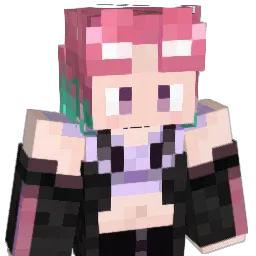 rommm_00 Minecraft avatar bust