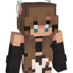 roms29 Minecraft avatar bust