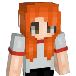 romsaes Minecraft avatar bust
