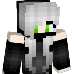 roni06's Minecraft skin