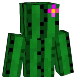 rooferie Minecraft avatar bust