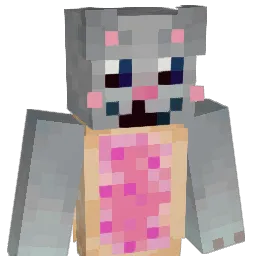 rookidae's Minecraft skin