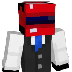 ror_ Minecraft avatar bust