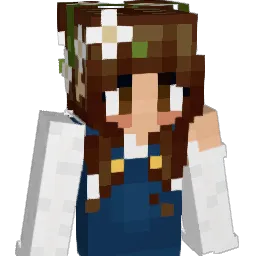 rordiggity Minecraft avatar bust