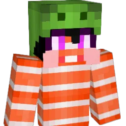 roro044's Minecraft skin