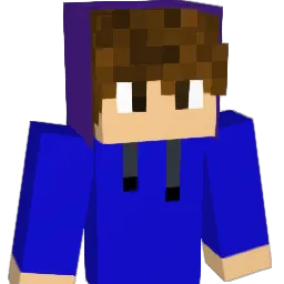 roto14 Minecraft avatar bust