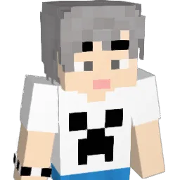 roum_ Minecraft avatar bust