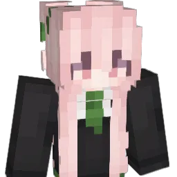 rouy Minecraft avatar bust