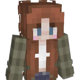 rpetrie3041 Minecraft avatar bust