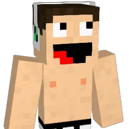 rpo40 Minecraft avatar bust
