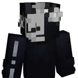 rqn_ Minecraft avatar bust