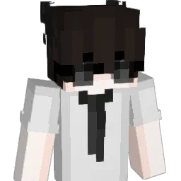 rsHoki Minecraft avatar bust