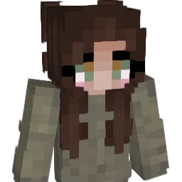 rsumnr Minecraft avatar bust