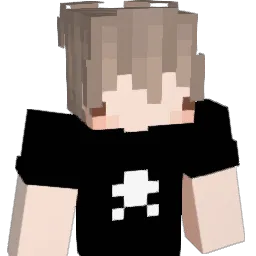 rt_hur Minecraft avatar bust