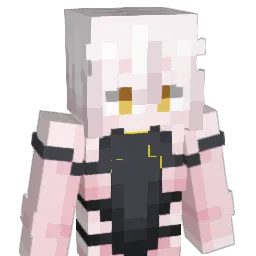 rtmisVT's Minecraft skin