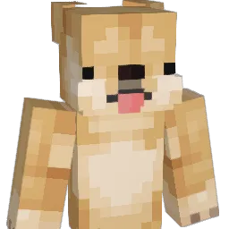 rtytt's Minecraft skin